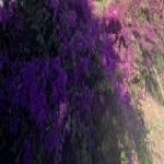 ЮлияСидорова