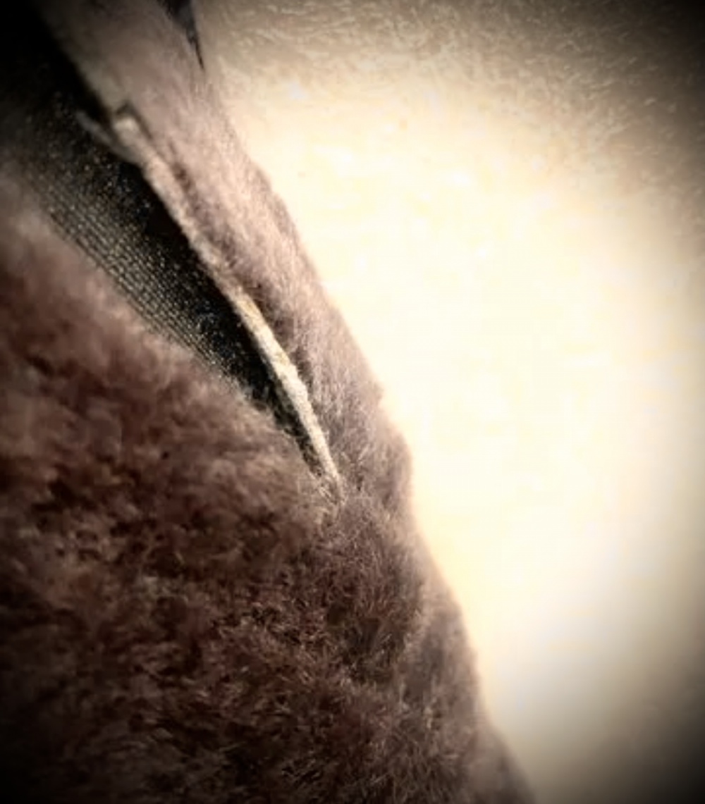 Сапоги зимние нат. замша, 39