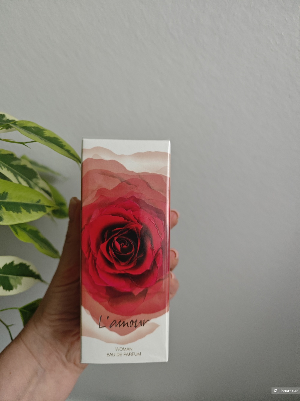 Парфюмированная вода Vittorio Bellucci L'amour,100 ml