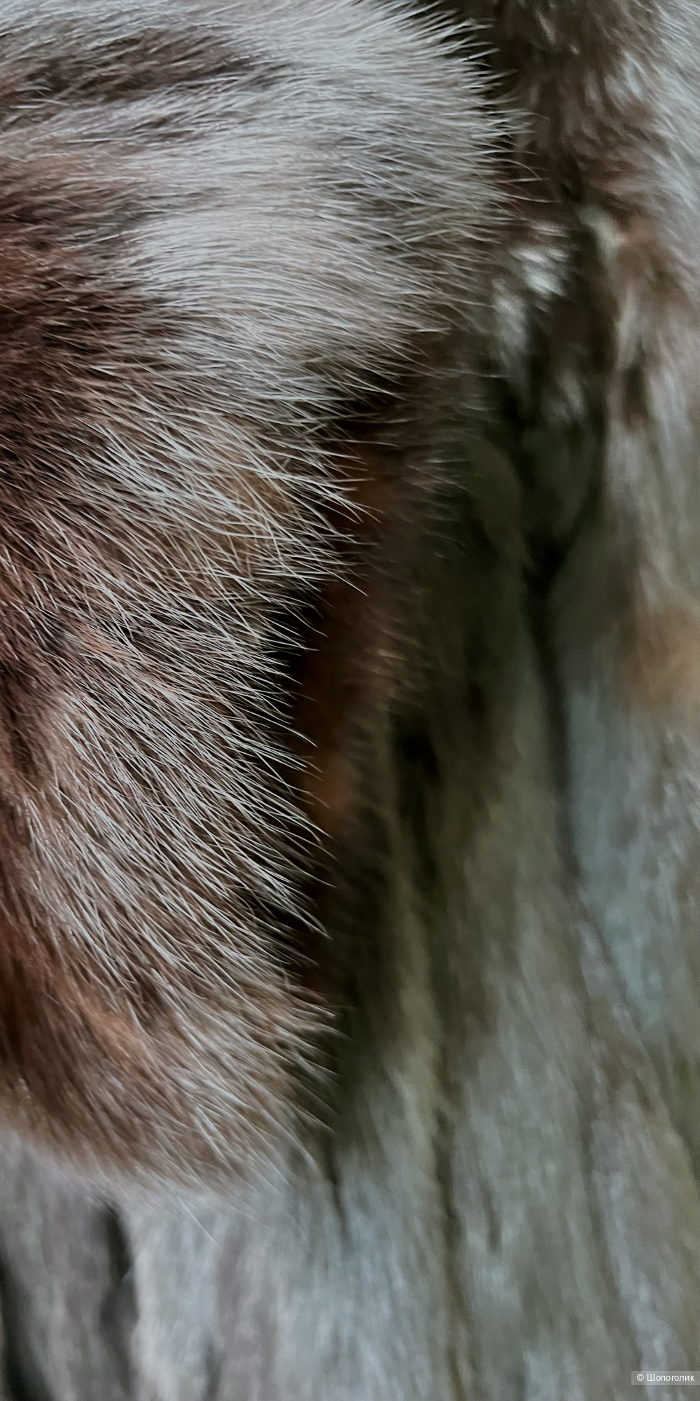 Шуба Соболь S