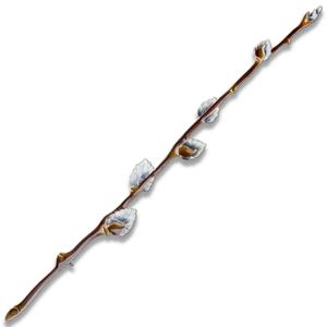 Брошь "Верба" из коллекции Гербарий Татьяны Поляковой, серебро 925