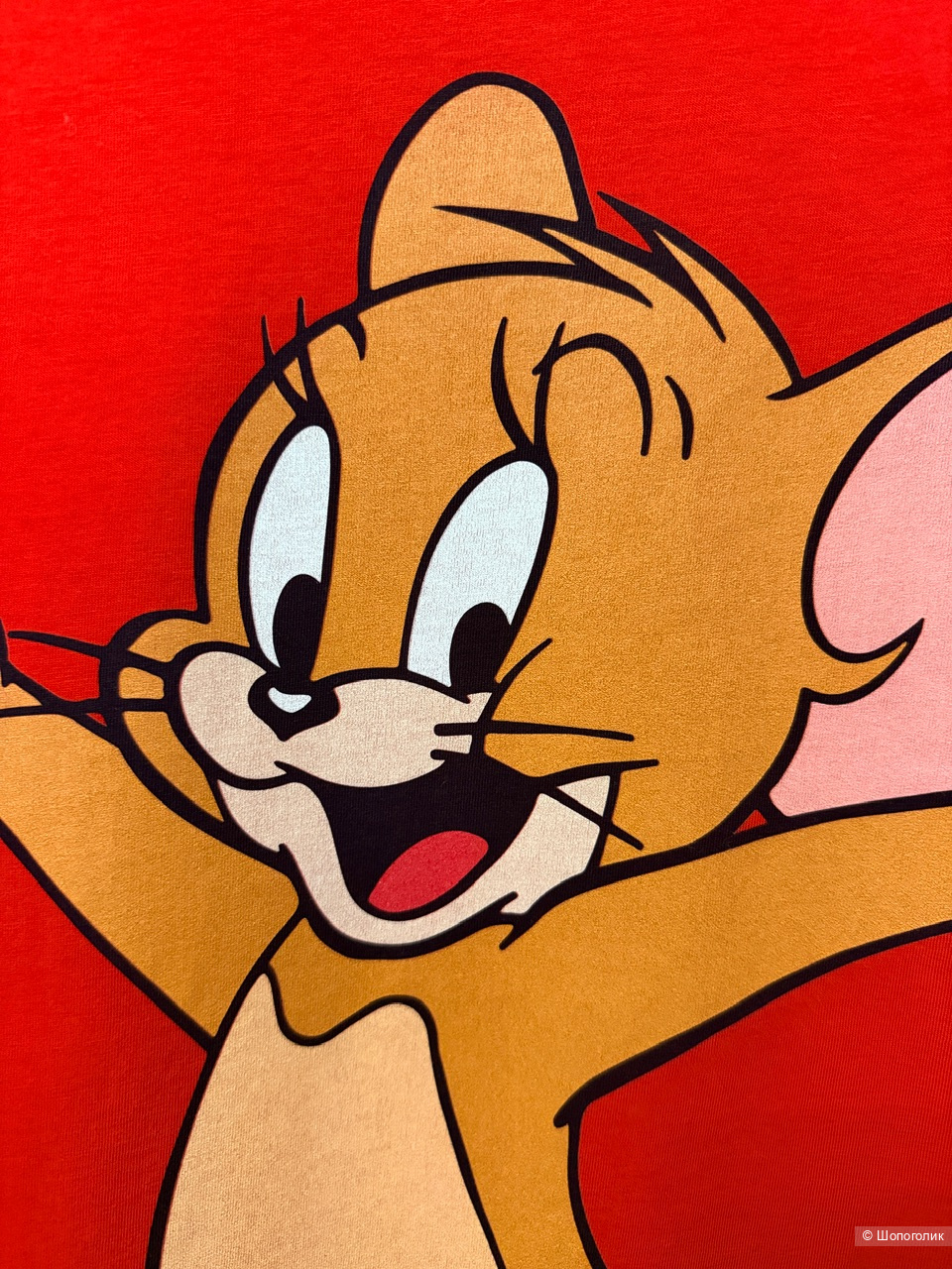 Футболка Etro, XL