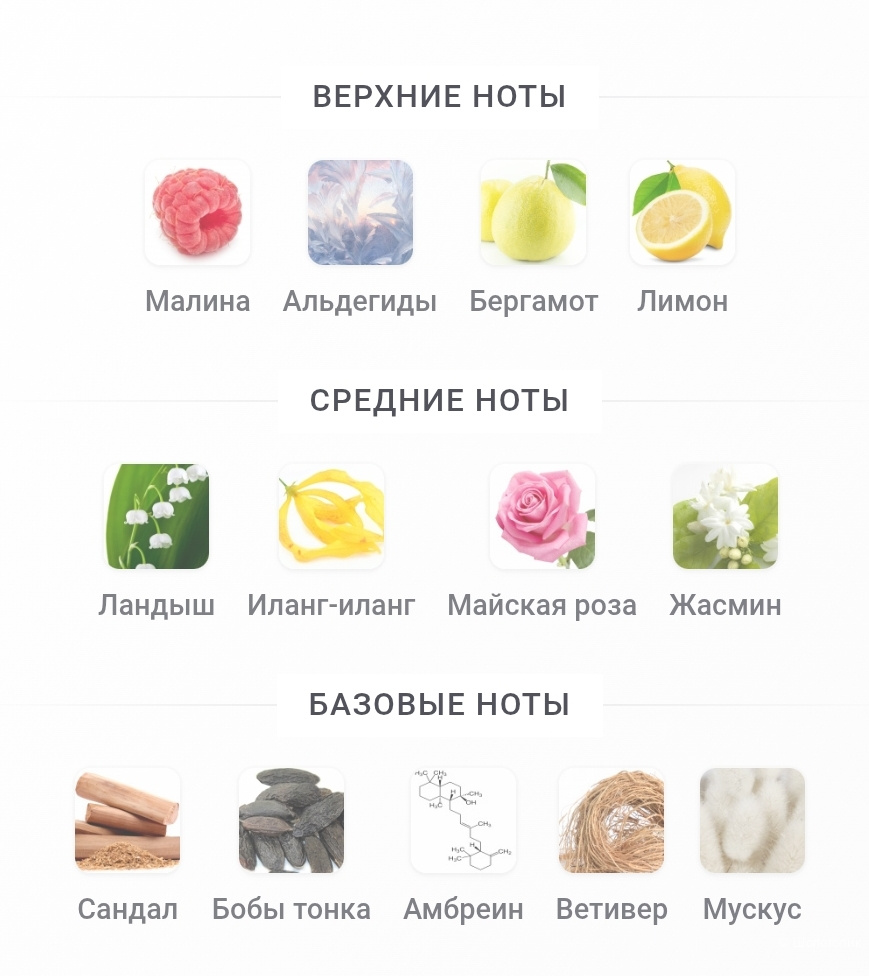 Adeline Pola, edc, 100 ml