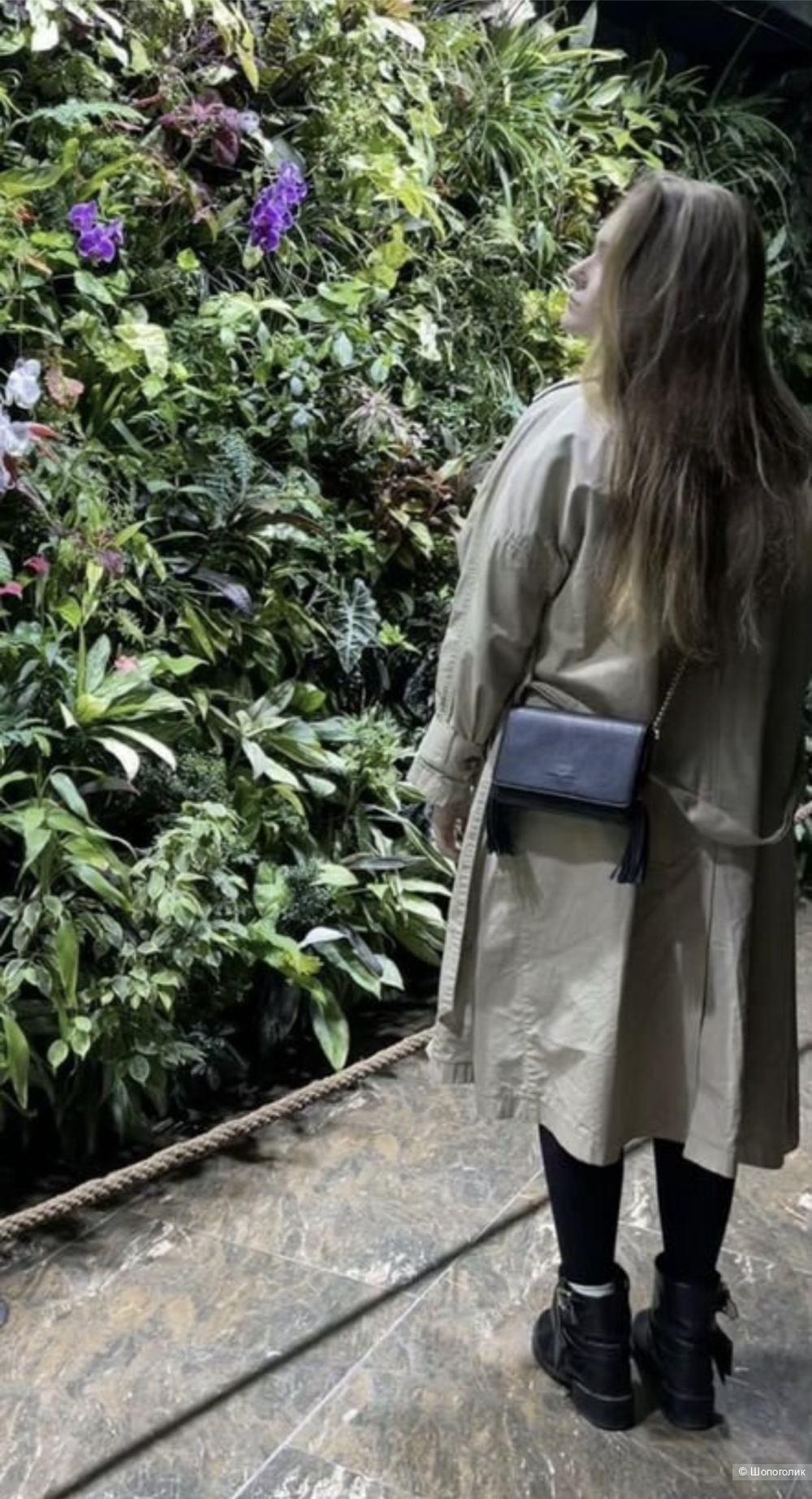 Elizabetta franchi сумка