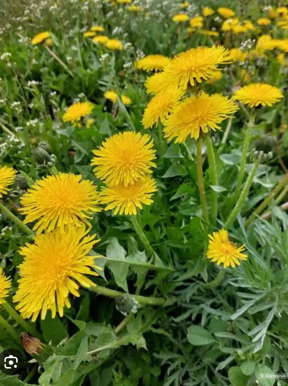 Свишот No name, размер L/XL.