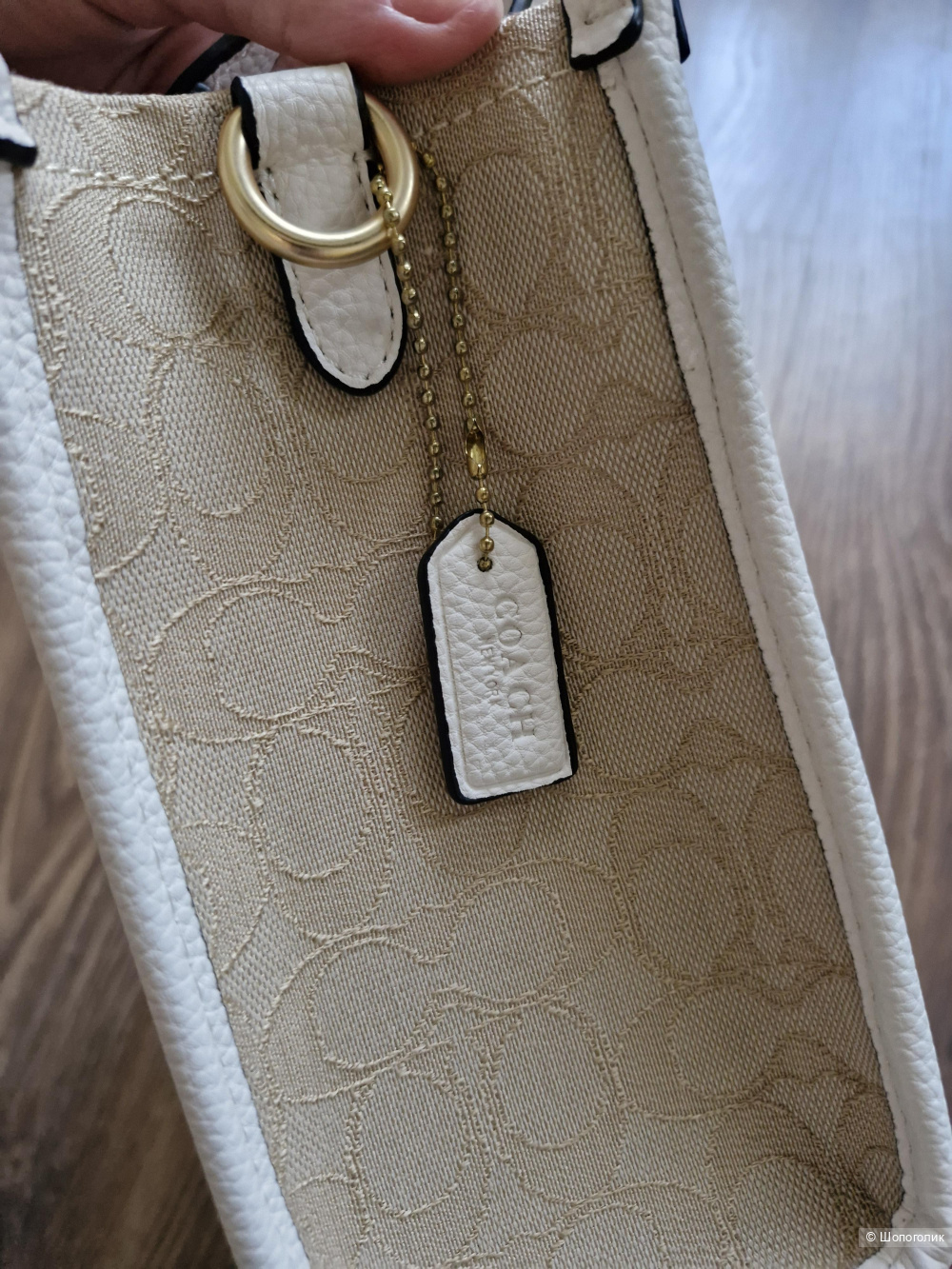 Сумка Coach, 20 на 23/10