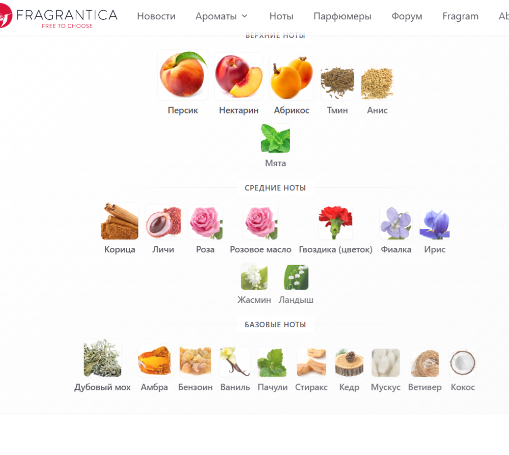 Yvresse (Champagne) Yves Saint Laurent