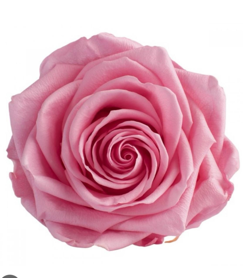 Рубашка женская Bogner, размер 50