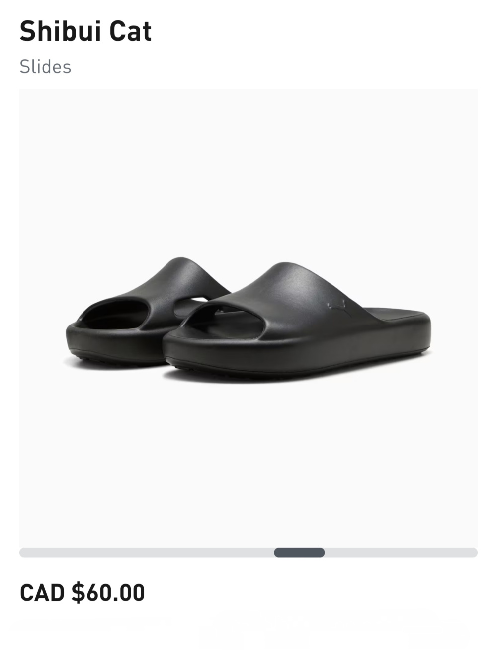 Сланцы Puma 45-46