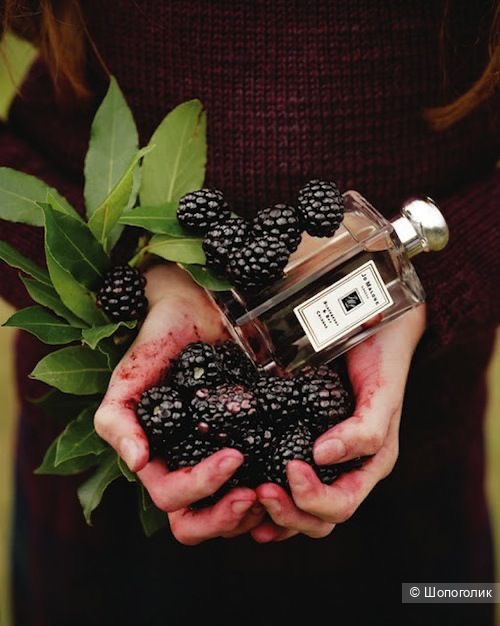 Туалетная вода под Jo malone Blackberry & Bay, 100ml