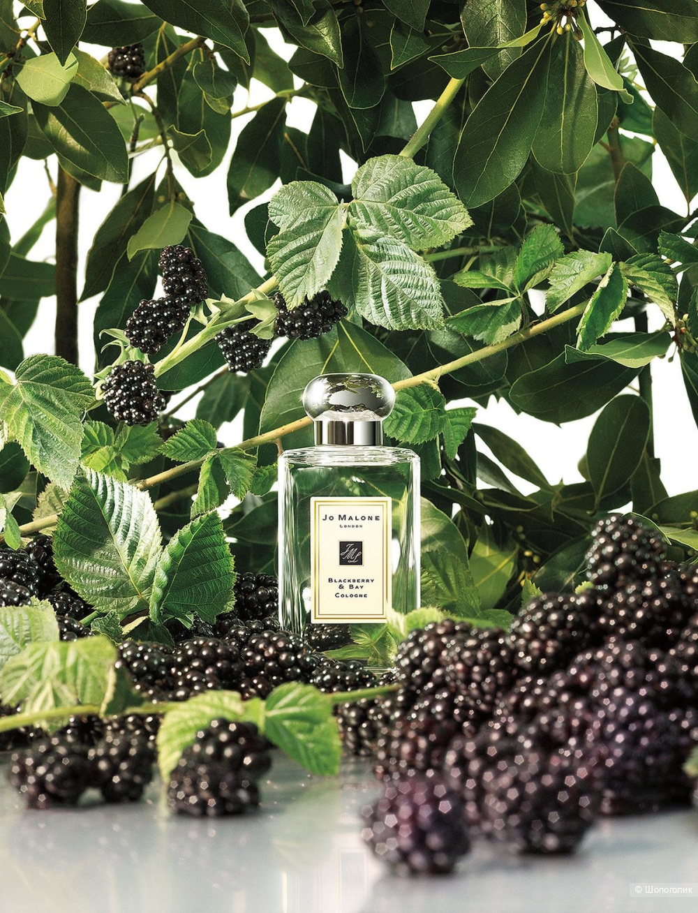 Туалетная вода под Jo malone Blackberry & Bay, 100ml