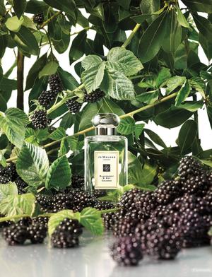Туалетная вода под Jo malone Blackberry & Bay, 100ml